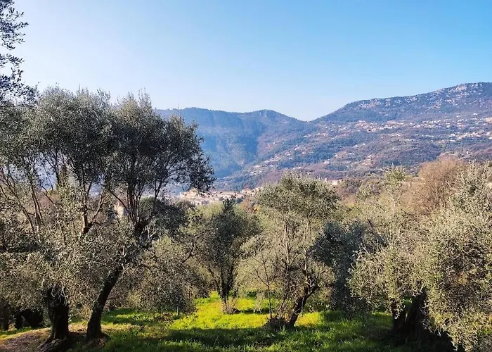 Bas De Villa. Cote D\'Azur, A 20 Kms De Nice