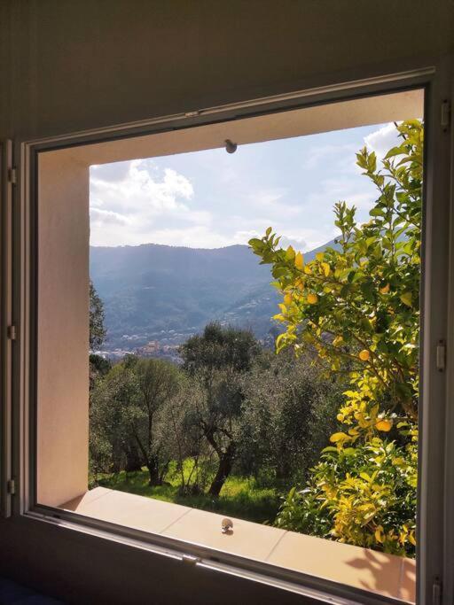 Bas De Villa. Cote D'azur, A 20 Kms De Holiday home
